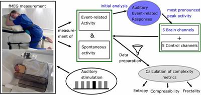 Evaluating Complexity of Fetal MEG Signals: A Comparison of Different Metrics and Their Applicability